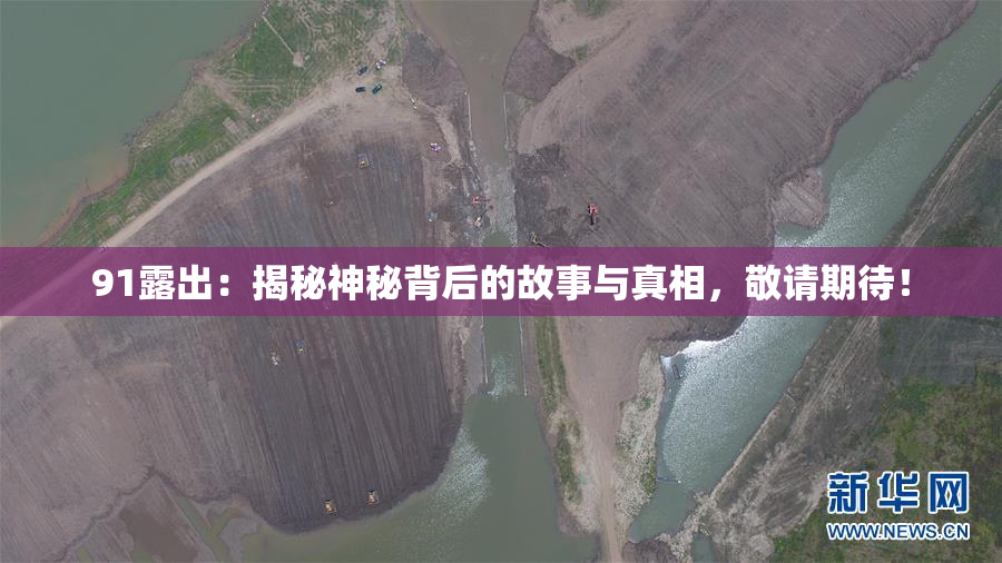 91露出：揭秘神秘背后的故事与真相，敬请期待！