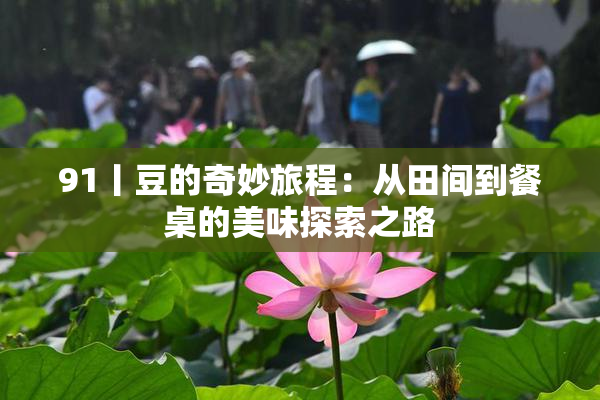 91丨豆的奇妙旅程：从田间到餐桌的美味探索之路