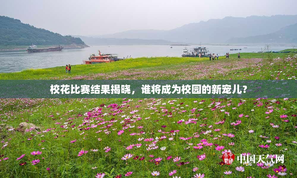 校花比赛结果揭晓，谁将成为校园的新宠儿？