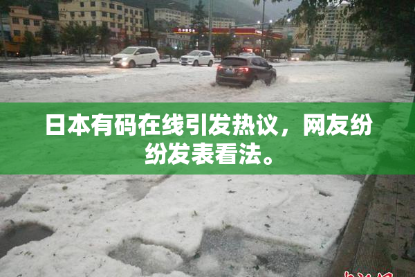 日本有码在线引发热议，网友纷纷发表看法。
