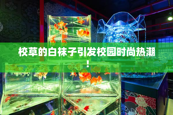 校草的白袜子引发校园时尚热潮！