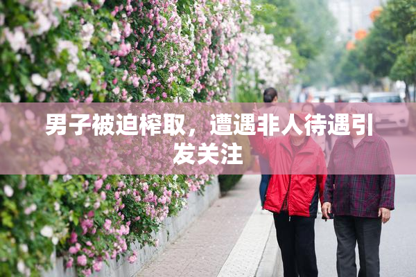 男子被迫榨取，遭遇非人待遇引发关注