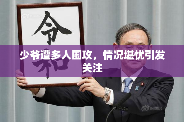 少爷遭多人围攻，情况堪忧引发关注