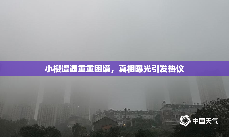 小樱遭遇重重困境，真相曝光引发热议