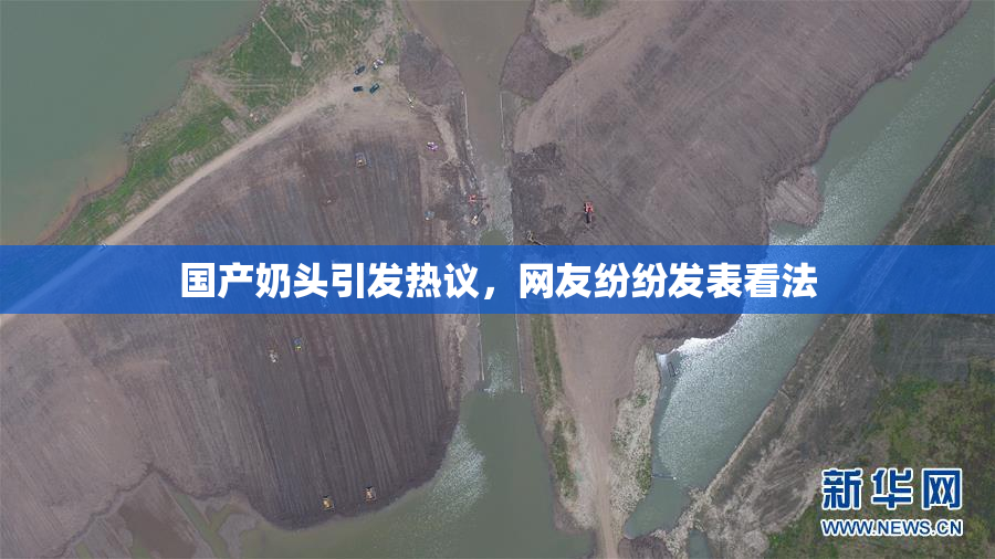 国产奶头引发热议，网友纷纷发表看法