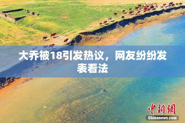 大乔被18引发热议，网友纷纷发表看法