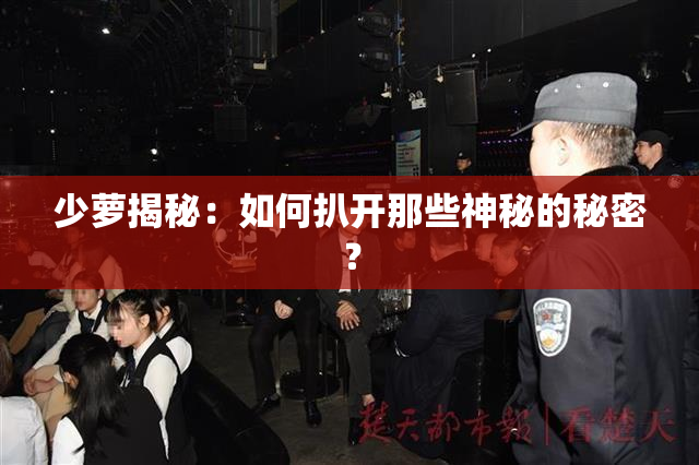 少萝揭秘：如何扒开那些神秘的秘密？