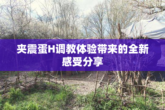 夹震蛋H调教体验带来的全新感受分享