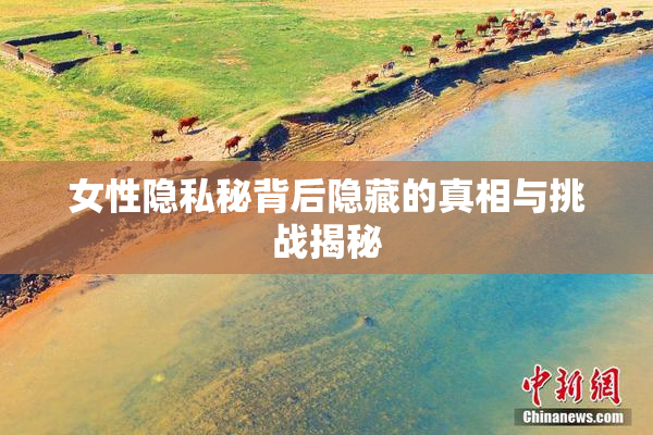 女性隐私秘背后隐藏的真相与挑战揭秘