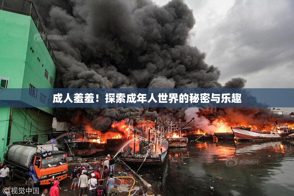 成人羞羞！探索成年人世界的秘密与乐趣