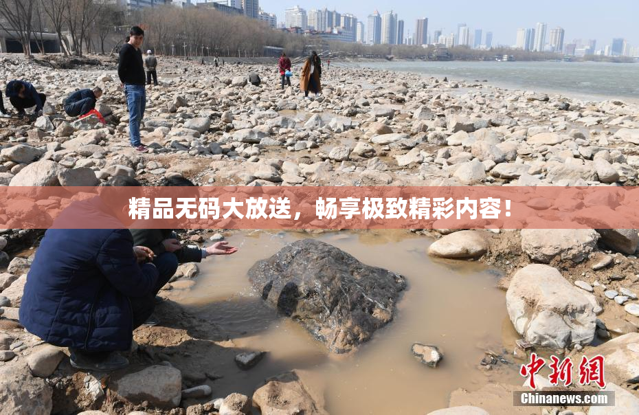 精品无码大放送，畅享极致精彩内容！