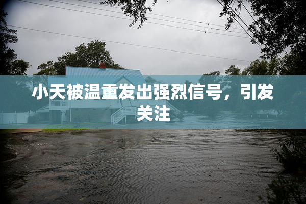 小天被温重发出强烈信号，引发关注