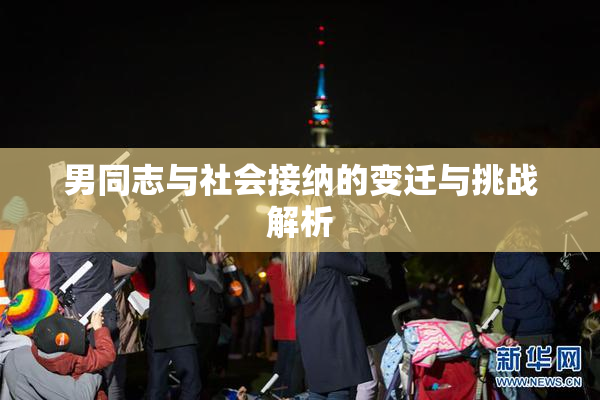 男同志与社会接纳的变迁与挑战解析