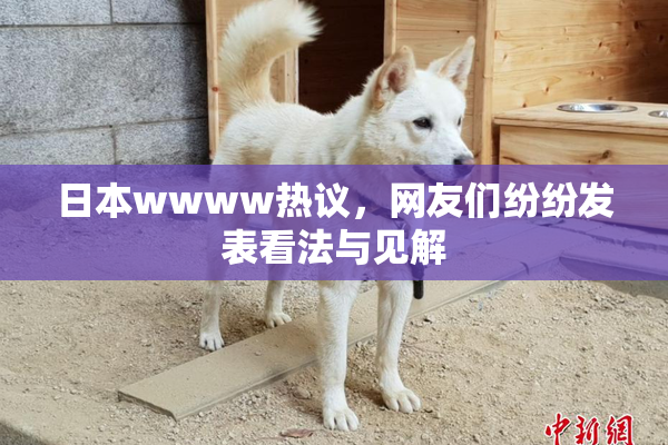 日本wwww热议，网友们纷纷发表看法与见解