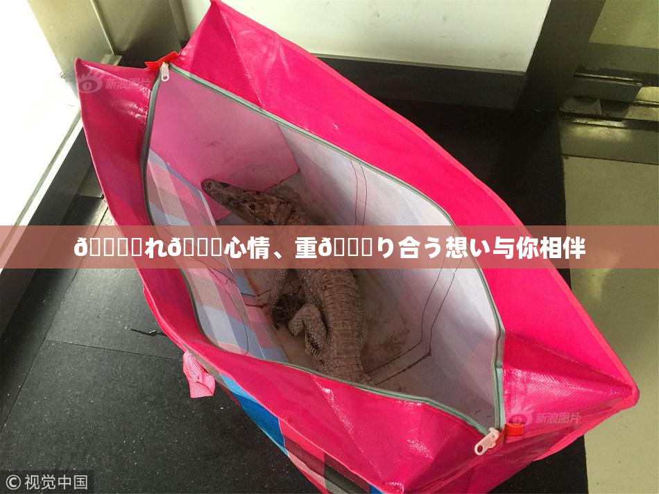 🍆揺れ🌃心情、重🍑り合う想い与你相伴