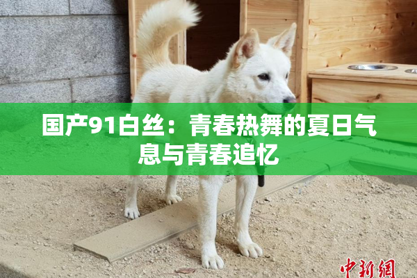 国产91白丝：青春热舞的夏日气息与青春追忆