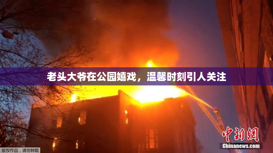 老头大爷在公园嬉戏，温馨时刻引人关注