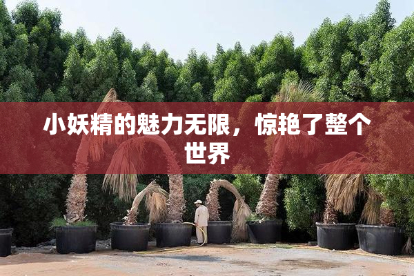 小妖精的魅力无限，惊艳了整个世界