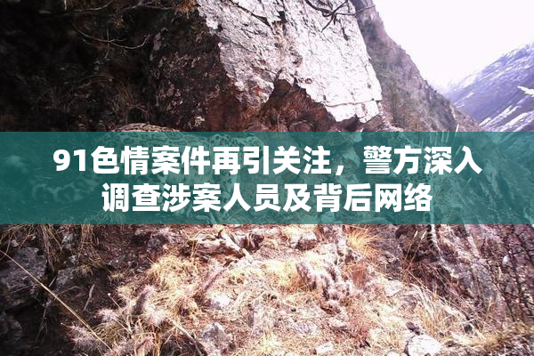 91色情案件再引关注，警方深入调查涉案人员及背后网络
