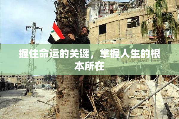 握住命运的关键，掌握人生的根本所在