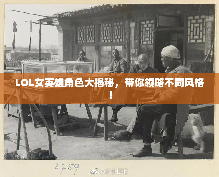 LOL女英雄角色大揭秘，带你领略不同风格！