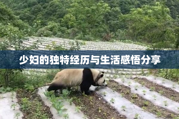 少妇的独特经历与生活感悟分享