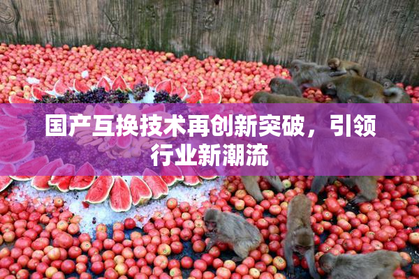 国产互换技术再创新突破，引领行业新潮流