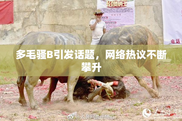 多毛骚B引发话题，网络热议不断攀升