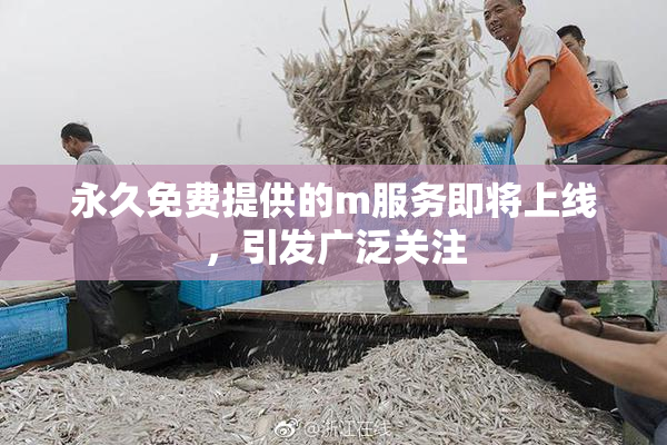 永久免费提供的m服务即将上线，引发广泛关注