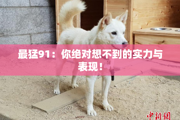 最猛91：你绝对想不到的实力与表现！