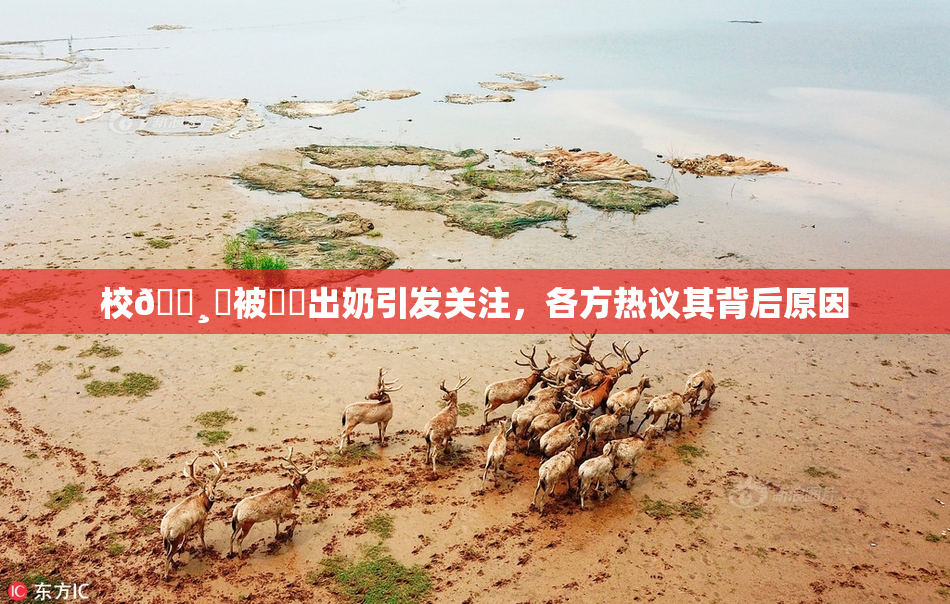 校🌸‌被❌‌出奶引发关注，各方热议其背后原因