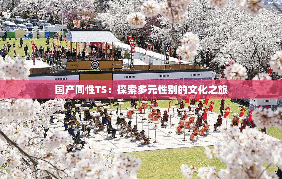 国产同性TS：探索多元性别的文化之旅