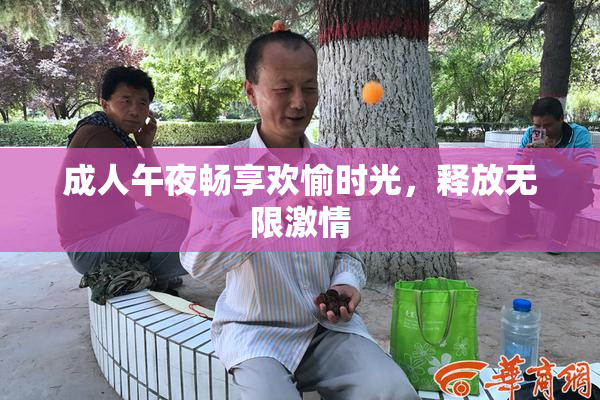 成人午夜畅享欢愉时光，释放无限激情