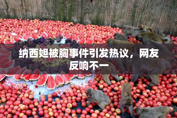纳西妲被胸事件引发热议，网友反响不一