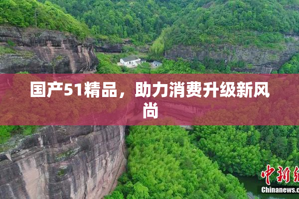 国产51精品，助力消费升级新风尚
