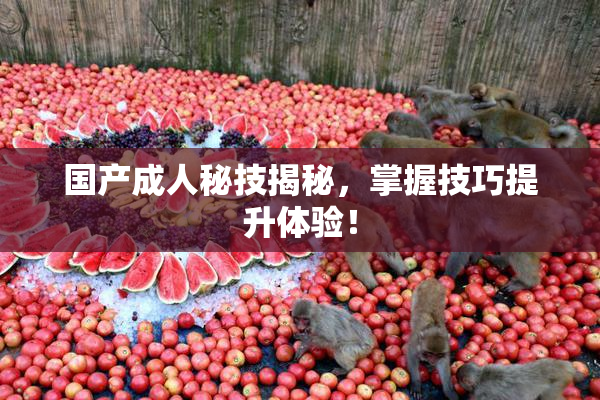 国产成人秘技揭秘，掌握技巧提升体验！
