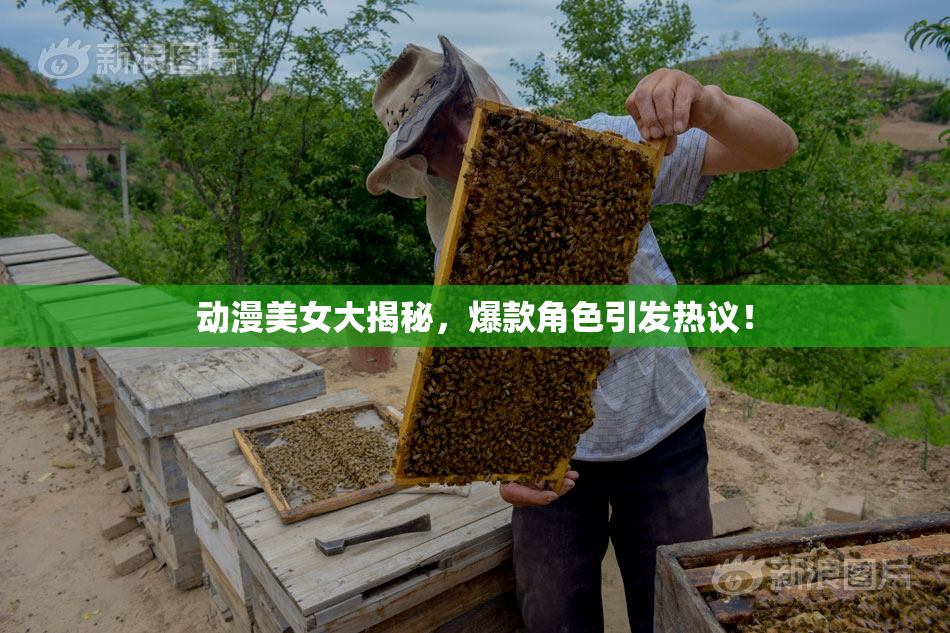动漫美女大揭秘，爆款角色引发热议！
