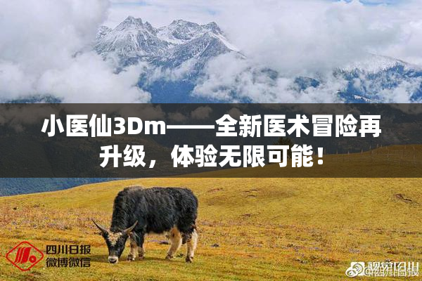 小医仙3Dm——全新医术冒险再升级，体验无限可能！