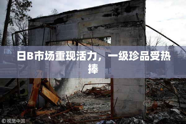 日B市场重现活力，一级珍品受热捧