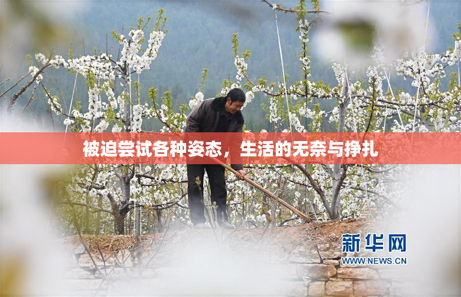 被迫尝试各种姿态，生活的无奈与挣扎