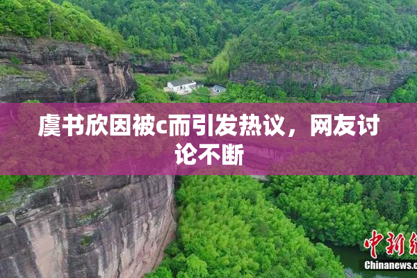 虞书欣因被c而引发热议，网友讨论不断
