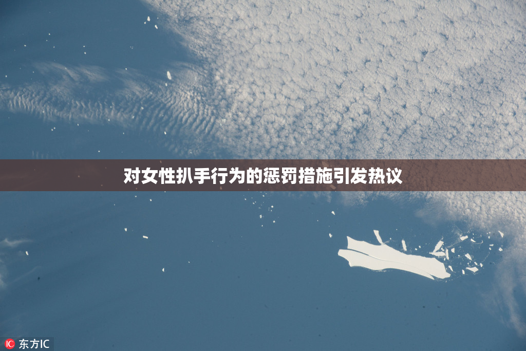 对女性扒手行为的惩罚措施引发热议