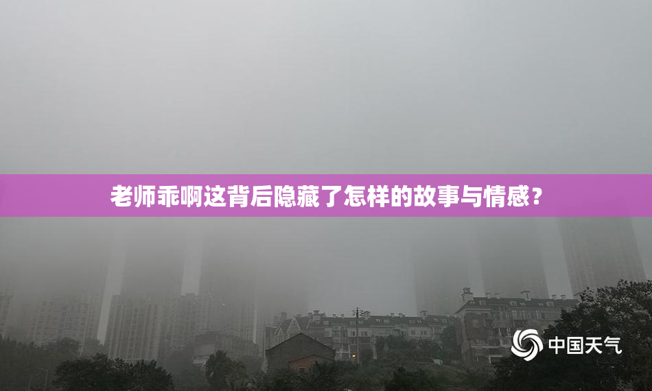 老师乖啊这背后隐藏了怎样的故事与情感？