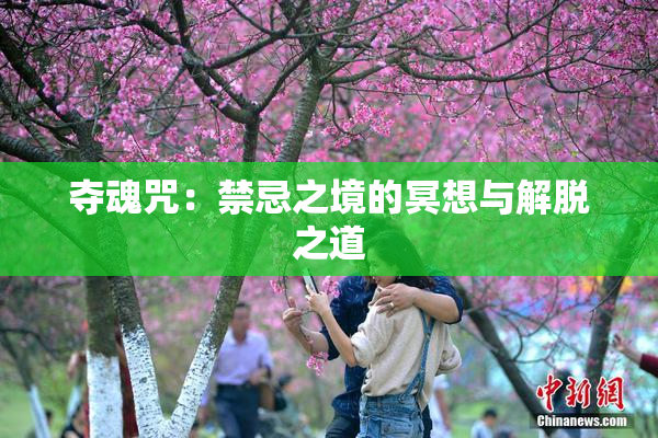 夺魂咒：禁忌之境的冥想与解脱之道