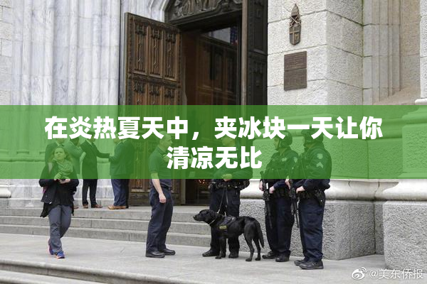 在炎热夏天中，夹冰块一天让你清凉无比