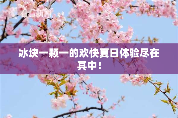冰块一颗一的欢快夏日体验尽在其中！
