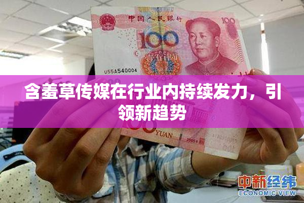 含羞草传媒在行业内持续发力，引领新趋势