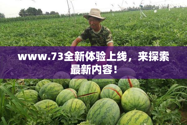 www.73全新体验上线，来探索最新内容！