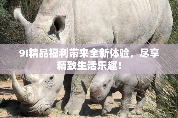 9I精品福利带来全新体验，尽享精致生活乐趣！