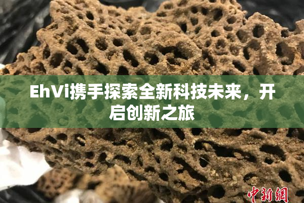 EhVi携手探索全新科技未来，开启创新之旅